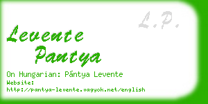 levente pantya business card