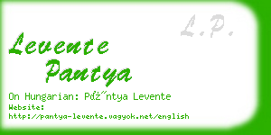 levente pantya business card